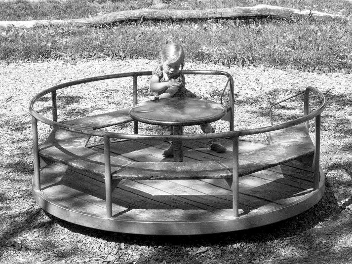 Draaimolen In de speeltuin staat een draaimolen die opgeknapt moet worden. De vloer van de draaimolen heeft de vorm van een cirkel met een straal van 118 cm.