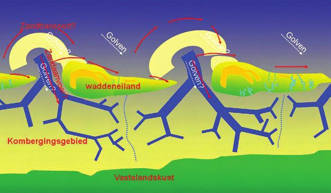 Om de effecten van een ingreep in het gebied te kunnen inschatten, is kennis van het hele zanddelend systeem nodig.