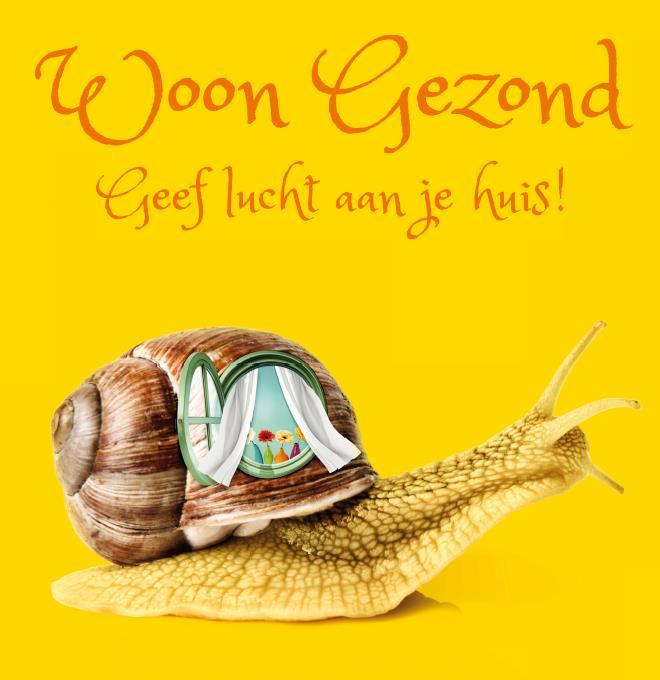 Het VIGeZ, de Vlaamse Logo s en Zorg en Gezondheid Lien Van Oyen An Verdeyen