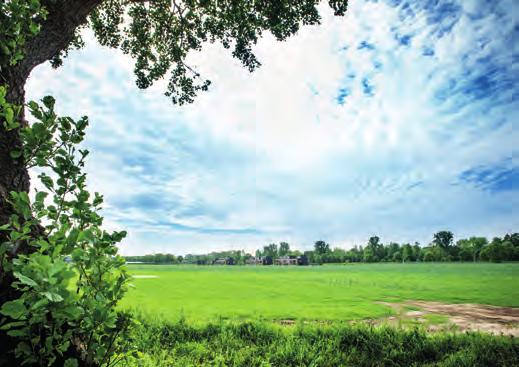 4 Beeldkwaliteit VILLAHOEVE BIEDT VEEL MOGELIJK- HEDEN Wij willen u in Villahoeve de ruimte geven om uw droomhuis te bouwen.