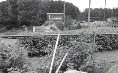 Uit deze intensieve contacten kwam zelfs een huwelijk voort en een geboren Holedrivers speelt momenteel nog steeds in Ridderkerk. Beuningen had een prachtige tapijtbaan.