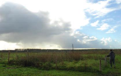 vierjarig uitrasteringsexperiment opgezet. Hierin zijn zes soorten bomen en struiken geplant en is de ontwikkeling van de plantengemeenschap gevolgd.