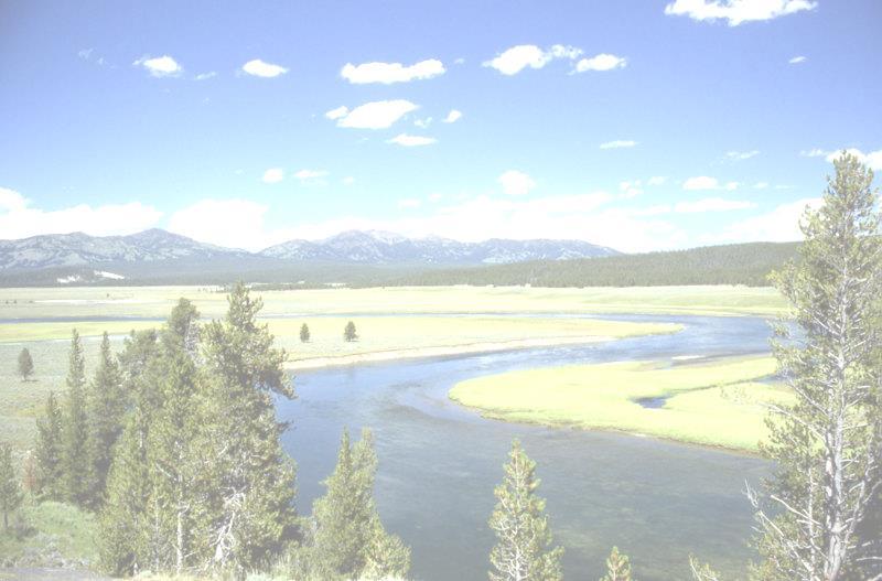 Belangen voor wie? Yellowstone National Park (USA). Eerste reservaat als wildpark. Erkend in 01-03-1872 om het authentiek wild te beschermen.