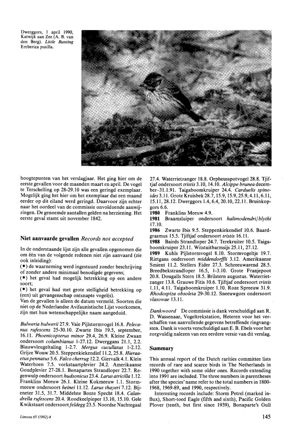 Dwerggors, I april 1990, Katwijk aan Zee (A. B. van den Berg). Little Bunting Emberiza pusiiia. hoogtepunten van het verslagjaar. Ret ging hier om de eerste gevallen voor de maanden maart en april.