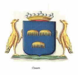 De gemeenteraad van Alphen-Chaam stelde bij raadsbesluit van 23 oktober 1997 voor de dorpen Alphen en Chaam wapens en vlaggen vast; voor de woonkernen Galder en Strijbeek alleen wapens.
