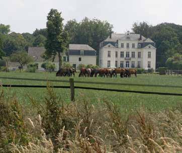 Het domein is sinds 2008 eigendom van de gemeente en is vrij toegankelijk. Je kunt er fietsen, joggen maar vooral voor wandelaars is het park een hele leuke uitstap.