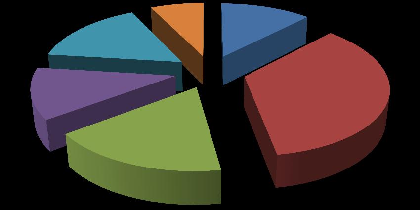 Logiesuitbatingen - 2015 Logies voor doelgroepen(*) 22 15,8%