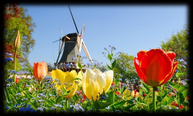 Activiteiten April Datum Omschrijving Tijd Plaats Maandag 17 TWEEDE PAASDAG Dinsdag 18 Kapper Qioz open Geheugentraining Stoelyoga (tegen betaling) 13.30-14.