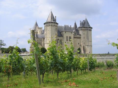 Loire: druivenrassen en wijnstijlen Druiven wit : Chenin Blanc (Pineau de la Loire), Sauvignon