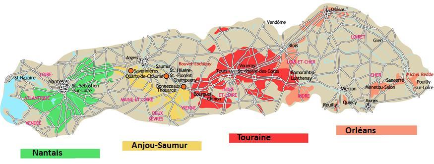 Loire - Regio s en belangrijkste druivenrassen Regio Nantais Anjou/Saumur Touraine Orléans Belangrijkste druivenras(sen) Muscadet Chenin Blanc Cabernet Franc Chenin Blanc