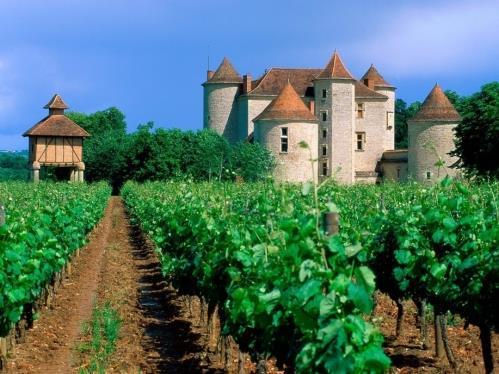 Zuidwest-Frankrijk Veel kleine wijngebieden Landschap: lijkt op Bordeaux Klimaat: Dordogne warmteregulator Gastronomie Périgourdine: truffel, foie gras, confits Bekendste wijngebieden: Cahors,