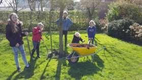 Vanuit de groepen De stal Groep 4 tot 8 ging naar de stal We hebben takken geknipt.