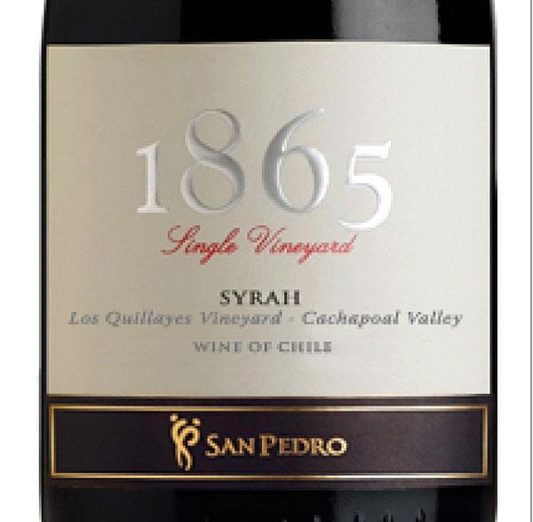 De export van San Pedro startte in 1940. VSPT Wine Group is de tweede wijnexporteur van Chili. De wijnen van San Pedro worden geëxporteerd naar 80 landen. In Nederland worden ze o.a. verkocht door Oud Reuchlin Boelen (serie Reserva), Baarsma (Gato Negro), De Wijnbeurs (serie 1865), Colaris (Tierras Moradas en Cabo de Hornos) en IC Wines (Riesling Late Harvest).