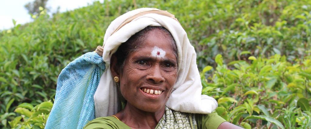 Azië - Sri Lanka Sri Lanka, ook wel de parel van de Indische oceaan genoemd, is een veelzijdig eiland met een grote verscheidenheid aan prachtige natuur.