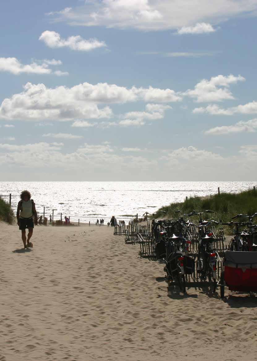 Toekomstperspectief Noord-Hollandse Noordzeekust - aangepast discussiestuk n.a.v.