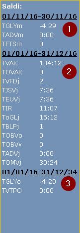 8 2.3 ELEKTRONISCHE VAKANTIEKAART EN/OF ANDERE AFWEZIGHEDEN Bij het maandoverzicht zie je ook telkens de saldi van alle mogelijke afwezigheden staan. Je kan dus op ieder moment de saldi raadplegen. 1.