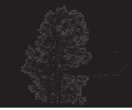 (gewone vlier) Sorbus aucuparia (gewone lijsterbes) Maat: 125-150 (bosplantsoen) 0.5 3.
