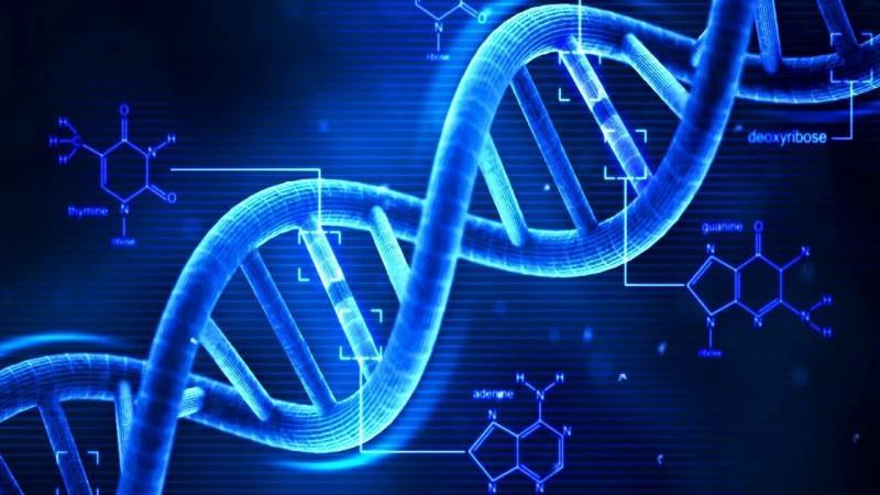 DNA We zijn de kleinste gemeente van Noord-Brabant en dat is niet voor niets zo