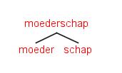 Student-en slap-en lang-er dan top-sport -er -s Inflectie inflectie inflectie samenstelling afleiding inflectie Student-en Stam student, met meervoudsuffix en; grammaticaal relevant vanwege