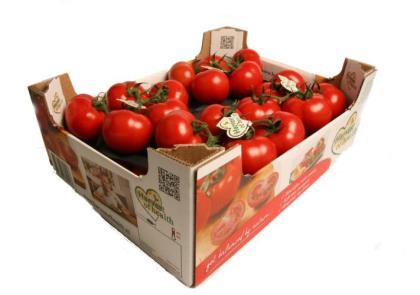 Verpakkings- en kartonproducent Solidus Solutions (NBr) leverde al diverse formaten van tomatendozen: trays van 5 kg, 3 kg, 1,5 kg en consumentenverpakkingen.