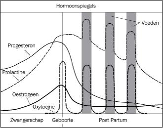 Fysiologie (Riordan, J;