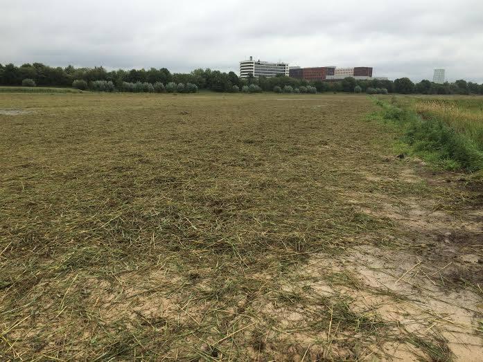 hulp bij verspreiding (planten)soorten vervolgens uitspreiden van het maaisel in natuurontwikkelingsgebied Hooi uit