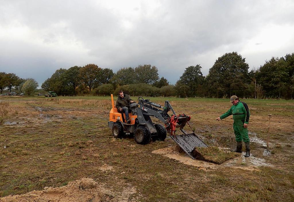 hulp bij verspreiding (planten)soorten vervolgens uitspreiden van maaisel/plaggen in