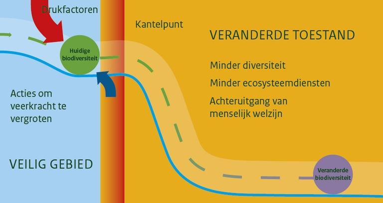 Ecosysteem uit evenwicht bereikt kantelpunt punt waarop het systeem niet meer in staat is zichzelf in