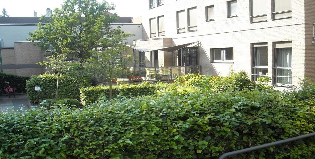 wzc Dijlehof in Leuven wzc Dijlehof in Leuven: een groene oase waar Moncy tuintherapie in de praktijk brengt Moncy Vidal, lid van onze vzw en voortrekker van onze werking in