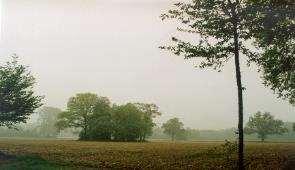 000 jaar geleden door de wind vanuit het Noordwesten afgezet. De oude klei is afgezet langs de Maas en is deels ouder en deels jonger.