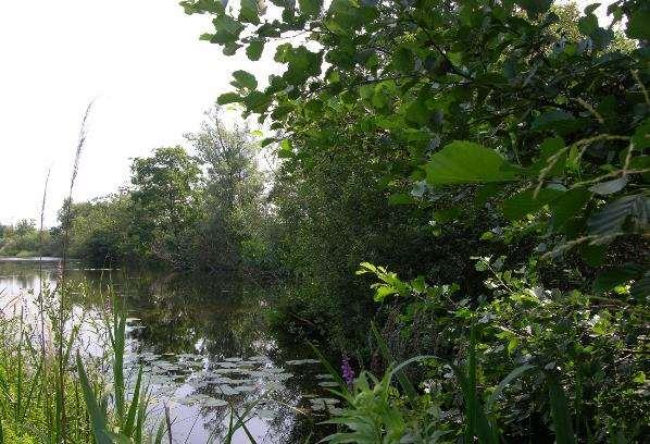 Op het veen is het