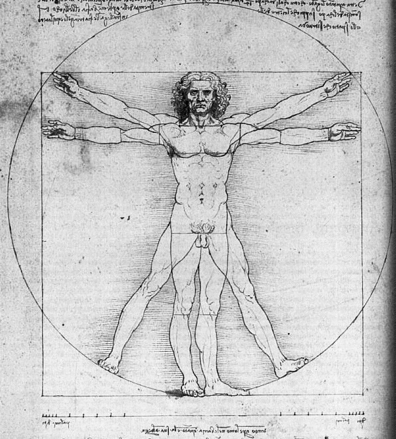 Op figuur 3 hieronder zie je 'de Vitruviusman', een tekening gemaakt door Leonardo da Vinci. Leonardo baseerde zich op een theorie van de Romeinse architect Vitruvius. figuur 3 Bekijk figuur 3.