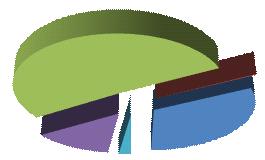 Aandeel aangevoerde hoeveelheden groenafval 2013 14,07% 51,06% 2,27% 32,42% 0,18% gemeenten en privébedrijven particulieren CP-niet gemengd groenafval CP-zuiver verkleind groenafval CP-stronken of