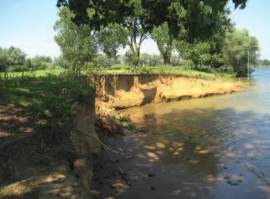 Sommige delen van het terrein hierachter bestaan uit een ijle, die zich na de overstromingen van 1995 op de kale grindafzettingen heeft ontwikkeld.