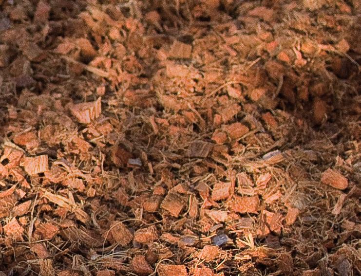 Minder uitdroging Bij het aanleggen en onderhouden van de tuin wordt er vaak voor gekozen om de bodem te bedekken met tegels of hout. Een praktische, maar vaak weinig sfeervolle oplossing.