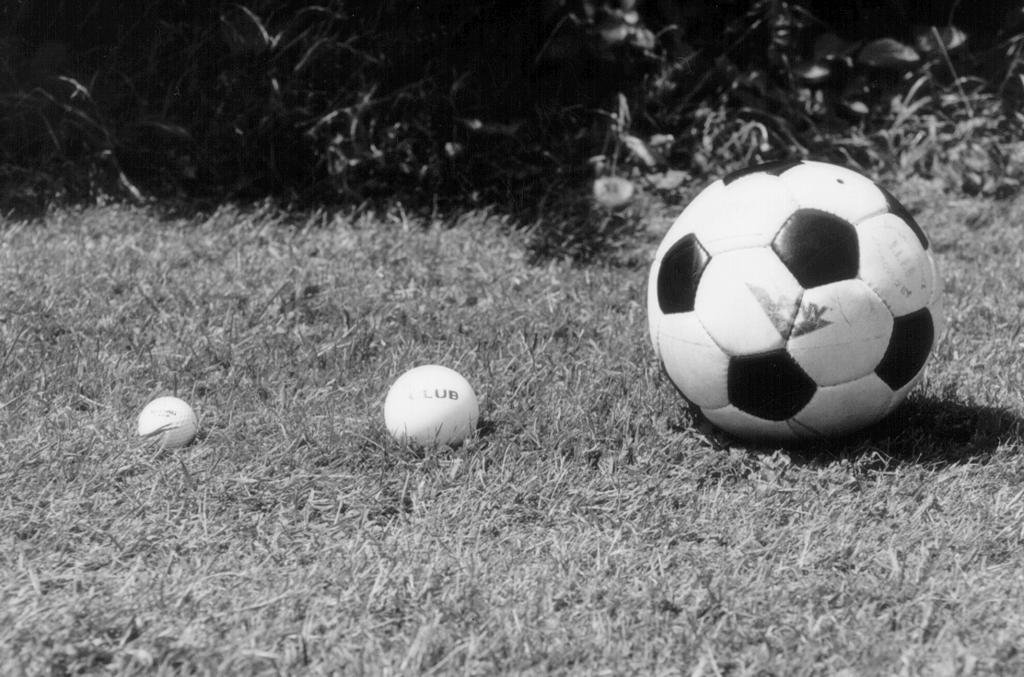 Hoofdstuk 4, les 2 b Zet op de foto hieronder bij elke bal hoe hoog het gras mag zijn: één centimeter, twee centimeter, drie