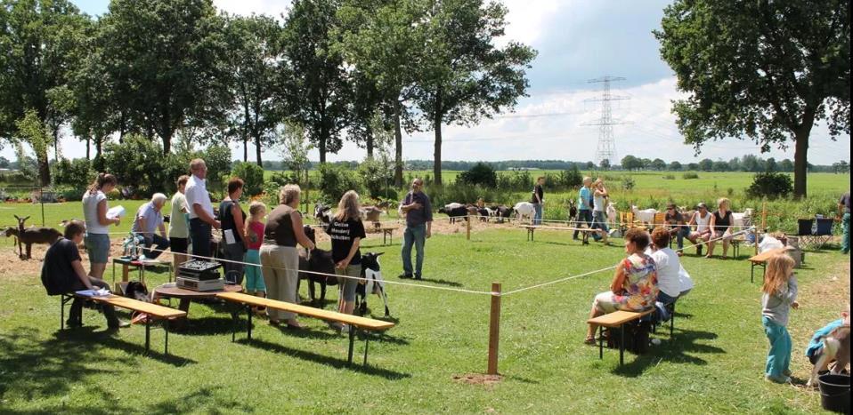 1916-2016 NOG VERENIGINGEN VAN DE NOG De toekomst ziet men niet heel rooskleurig in, mede door de regelgeving van de overheid, maar ook het grote verschil tussen de landelijke cw- en ncw-keuring.