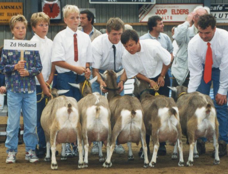 om de dieren zo perfect mogelijk voor te brengen. Dan komt nog het bezoek aan andere keuringen, vergaderingen en fokkersdagen (Feestdagen) erbij.