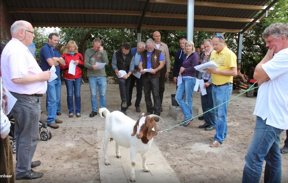 Hoogtepunten uit het verleden is het Europese treffen van boergeitenhouders in Ermelo, tegelijkertijd met de keuring op de Dag van het Schaap.