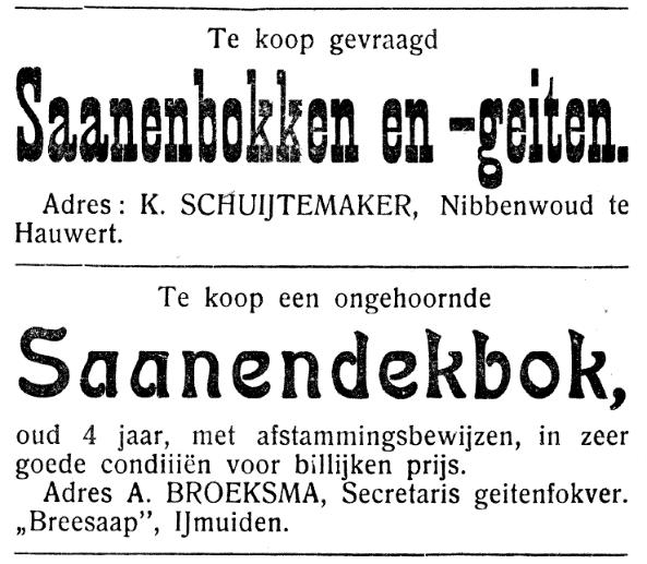 1916-2016 NOG ONS VAKBLAD DOOR DE JAREN HEEN Vakblad voor de geitenhouders vanaf 1912 Meer dan 100 jaar geitenvakblad, daar gaat dit artikel over.