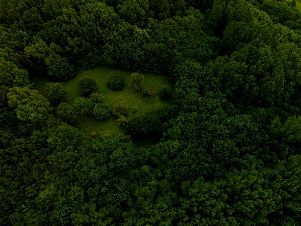 verjonging) Bosrandbeheer Recreatieve doelen Recreatie binnen het draagvlak vh bos