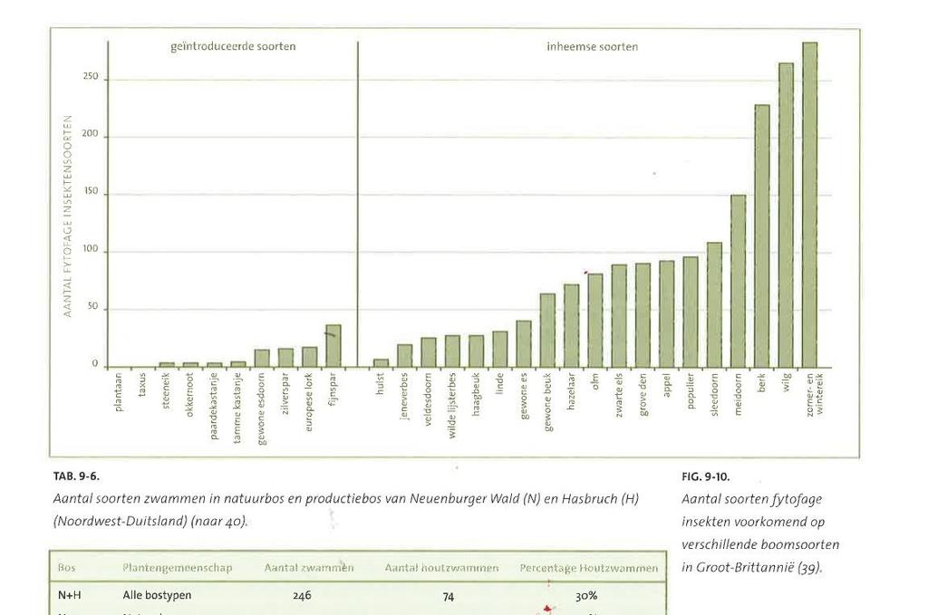 Diversiteit in bomen =