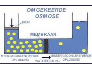 Recuperatie N via filtratie (RO) Productie mineraalconcentraten via Reversed