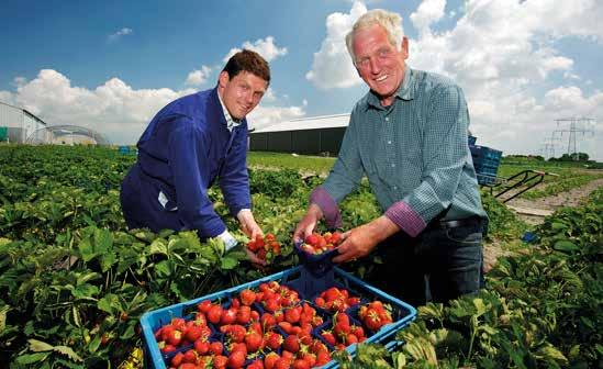 De smakelijkste wandelroutes van de IJmond De route IJmond Culinair laat u wandelend kennismaken met een aantal culturele en culinaire hoogtepunten in deze veelzijdige regio.