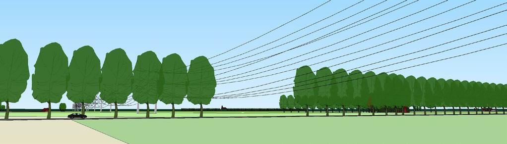 : 4 b Onderbreking van een laanbeplanting