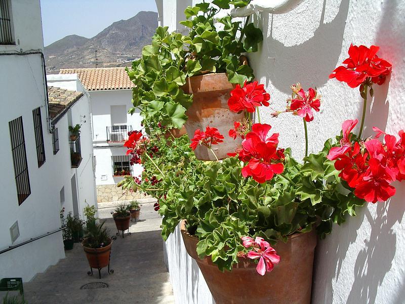 Het mooiste van Andalusië vanuit één verblijfplaats Geen rondreis ditmaal maar een reeks van mooie en unieke daguitstappen vanuit een centraal gelegen verblijfplaats.