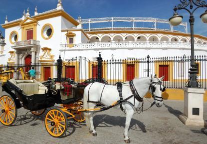 Stadswandeling langs de hoogtepunten van Sevilla Met deze wandelroute van Sevilla kom je voorbij alle belangrijke bezienswaardigheden. We wandelen in Sevilla door parken en tuinen.