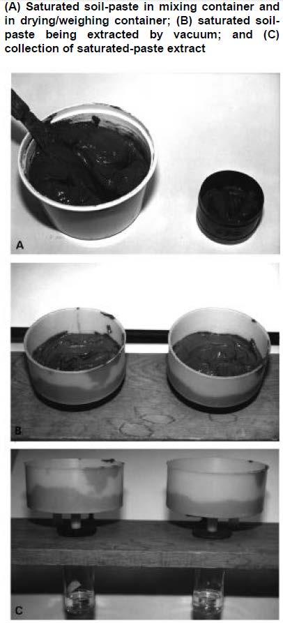 Figuur 1 Zoutschadefunctie van landbouwgewassen volgens Maas en Hoffman (1977). Bron: Kroes et al., 2009.