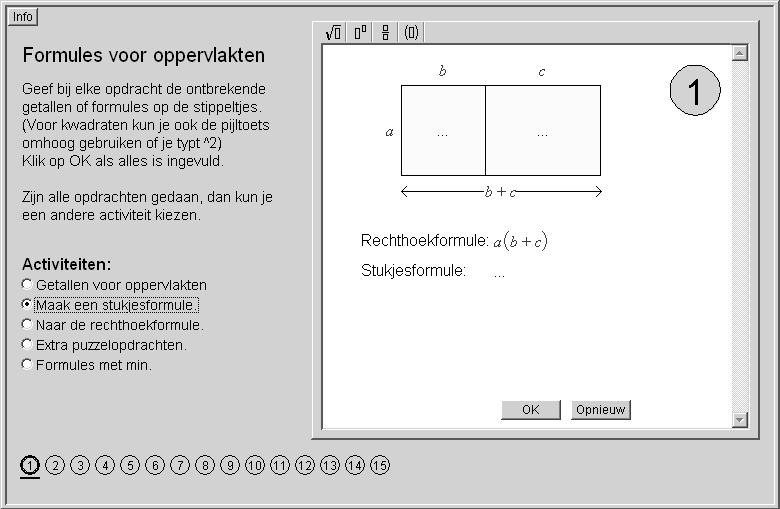 Algebra en applets, leren en onderwijzen zijn ontwikkeld. Een voorbeeld van een oefenapplet is OppervlakteAlgebra (figuur 2.3).