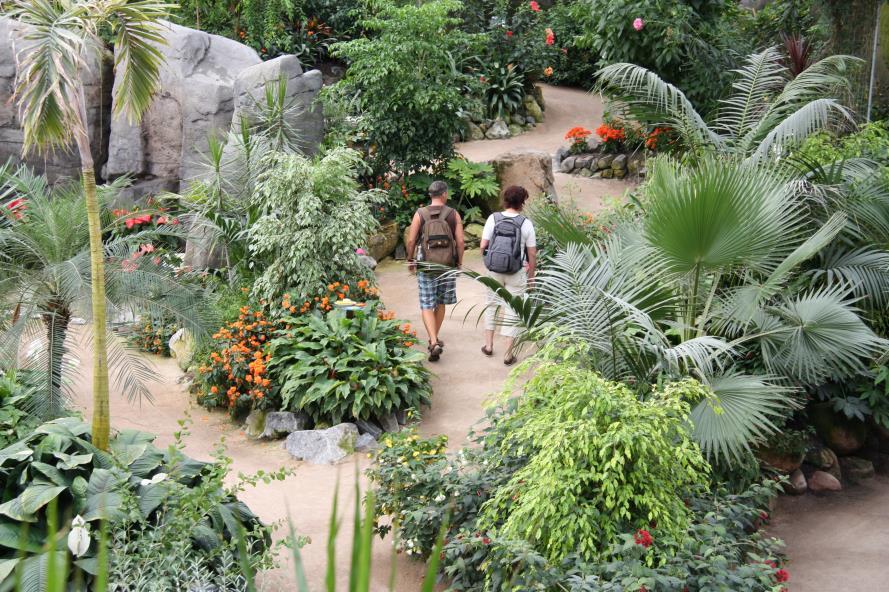 De Vlinder Vallei in de Orchideeën Hoeve is in 2008 geopend en is de grootste vlindertuin van Europa. In de vlindertuin fladderen ongeveer 2.000 vlinders vrolijk rond langs kleurrijke nectarplanten.